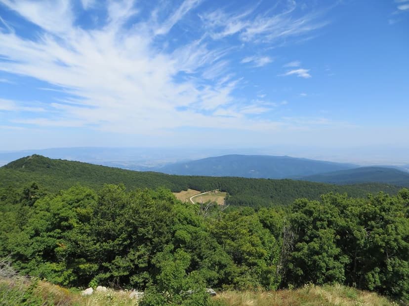 Vrhovi Jastrepca