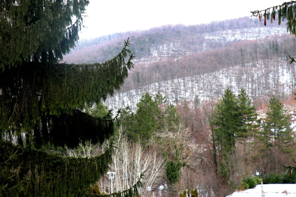 Olimp na Jastrepcu